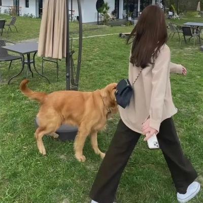 少女的心声